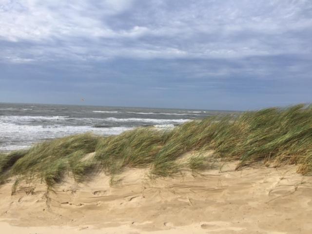 Ferienwohnung De Nollen Egmond aan den Hoef Exterior foto